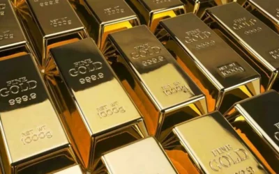 Q3 2025 Quarterly Letter